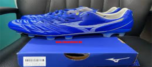 Mizuno Rebula Cup Elite